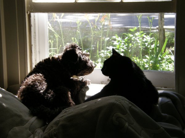 Gretta and Pepper